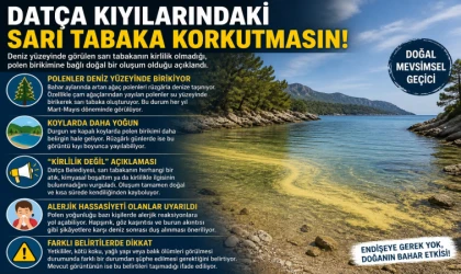 DATÇA KIYILARINDAKİ SARI TABAKA KORKUTMASIN!