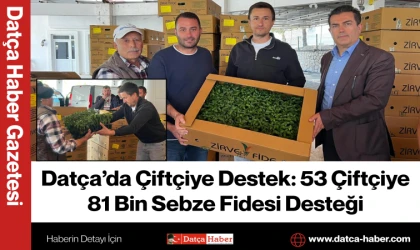 Datça’da Çiftçiye Destek: 53 Çiftçiye 81 Bin Sebze Fidesi Desteği