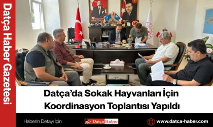 Datça’da Sokak Hayvanları İçin Koordinasyon Toplantısı Yapıldı