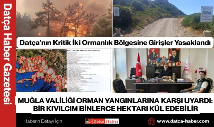 MUĞLA VALİLİĞİ ORMAN YANGINLARINA KARŞI UYARDI: BİR KIVILCIM BİNLERCE HEKTARI KÜL EDEBİLİR