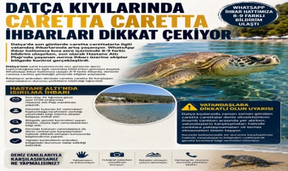 Datça Kıyılarında Caretta Caretta İhbarları Dikkat Çekiyor