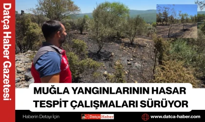 MUĞLA YANGINLARININ HASAR TESPİT ÇALIŞMALARI SÜRÜYOR
