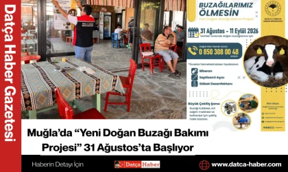 Muğla’da “Yeni Doğan Buzağı Bakımı Projesi” 31 Ağustos’ta Başlıyor