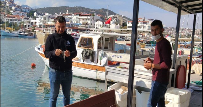 BA­LIK­ÇI­LA­RIN BAŞ BE­LA­SI BALON BA­LI­ĞI İLE MÜ­CA­DE­LE BAŞ­LA­DI