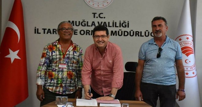 DATÇA BA­LIK­ÇI BA­RI­NAK­LA­RI 10 YIL­LI­ĞI­NA Kİ­RA­LAN­DI