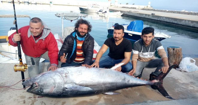 DATÇA ,BODRUM VE KOS ADASI ÜÇGENİNDE BEREKETLİ 8 SAAT