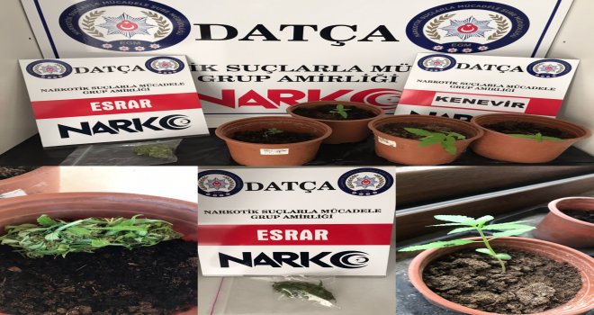 Datça' da bir evde yapılan aramada uyuşturucu madde bulundu
