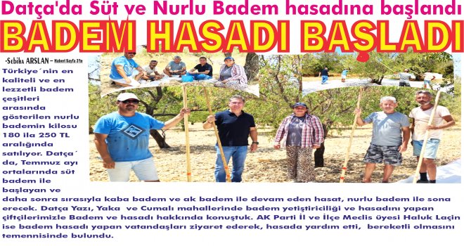 DATÇA’DA BADEM HASADI BAŞLADI