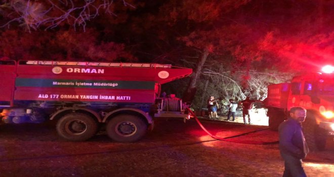 Datça'da başlayan orman yangını kısa sürede söndürüldü