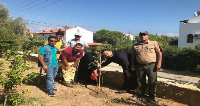 DATÇA'DA ''CAMİLER VE DİN GÖ­REVLİLERİ HAF­TA­SI" ÇEŞİTLİ ETKİNLİKLER­LE KUT­LAN­DI