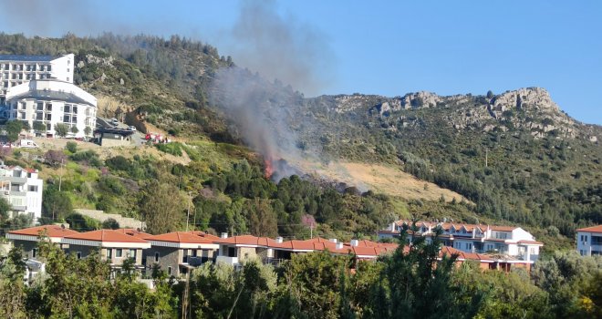 Datça'da makilik alanda yangın çıktı.