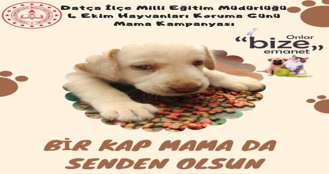 Datça'da öğ­ren­ci­ler “Bir kap mama da sen­den olsun" kam­pan­ya­sı baş­lat­tı
