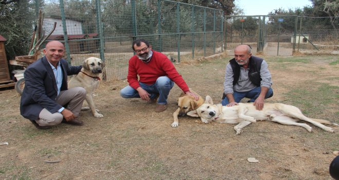 GEZİNET VE TRANS­FER DATÇA EL ELE VERDİ GELİRLERİNİN %25 BA­RI­NA­ĞI­NA BA­ĞIŞ­LA­DI