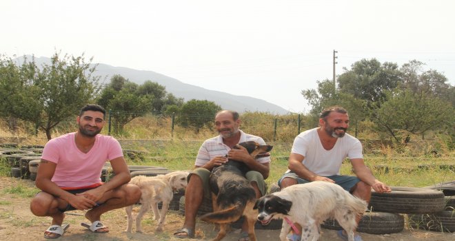Hay­van­lar İçin Se­fer­ber Oldu