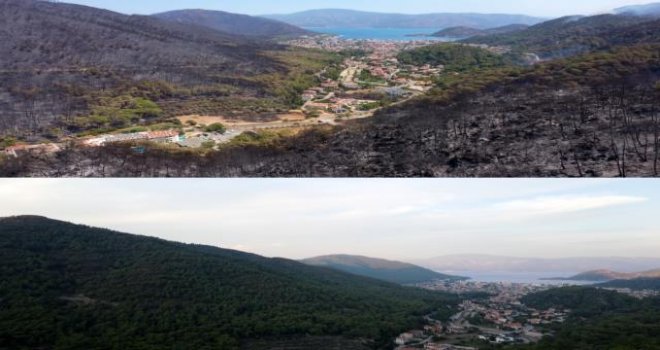 HAY­VAN­LAR TELEF CİĞER­LER KÜL OLDU! Felaketin Boyutu Gözler Önüne Serildi! Yangından Önce ve Sonra Marmaris