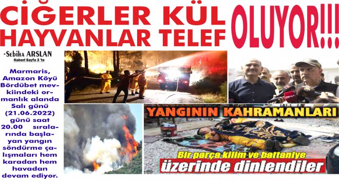 HAY­VAN­LAR TELEF CİĞER­LERİMİZ KÜL OLU­YOR