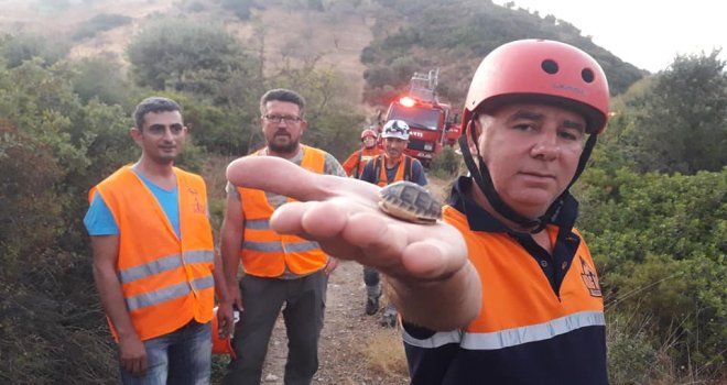 KA­RA­KÖY' DE MEY­DA­NA GELEN YAN­GI­NA SO­RUŞ­TUR­MA BAŞ­LA­TIL­DI