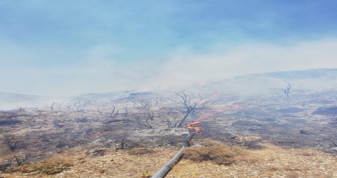 Karaköy'de makilik alanda yangın 