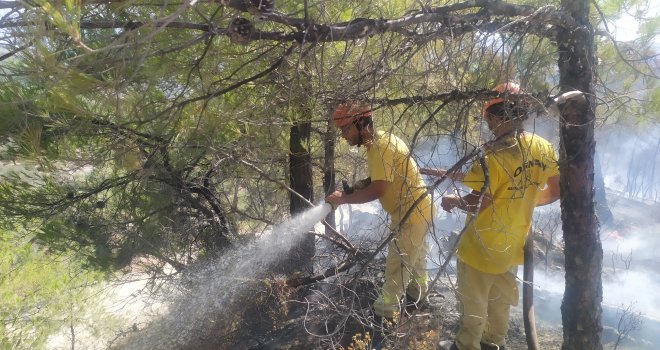Mesudiye taş ocağı mevki orman yangını! Kontrol altına alındı