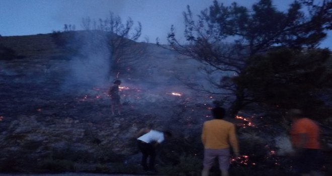 MEYDANA GELEN PALAMUTBÜKÜ YANGININDA 1 DÖNÜM'LÜK MAKİLİK ALAN ve 3 ÇAM AĞACI YANDI.