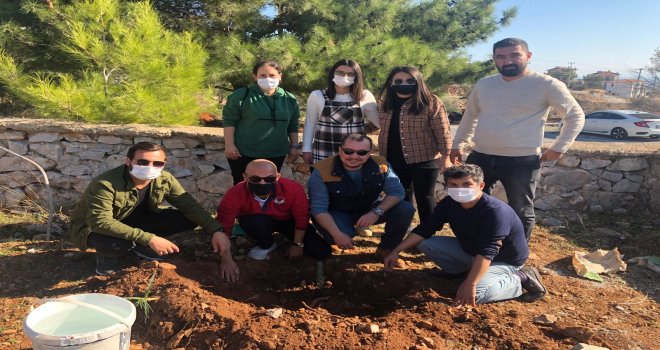 MHMHP İLÇE TEŞKİLATINDAN FİDAN DİKİM ETKİNLİĞİ İLÇE TEŞKİLATINDAN FİDAN DİKİM ETKİNLİĞİ