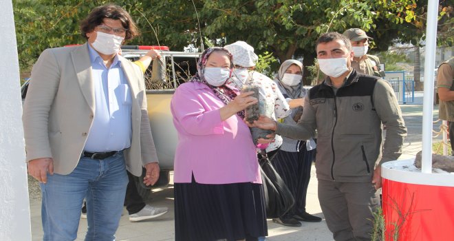 MİLLİ AĞAÇ­LAN­DIR­MA GÜ­NÜN­DE ÜC­RETSİZ FİDAN DA­ĞI­TI­MI