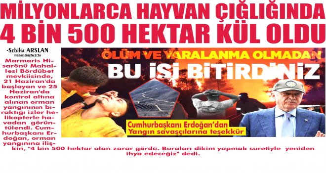 DEVLET MİLLET EL ELE 3 GÜNDE YANGIN KONTROL ALTINA ALINDI