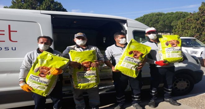 NESTLE PURİNA ŞİRKETİNDEN DATÇA DA Kİ SOKAK HAYVANLARINA 1500 KG MAMA