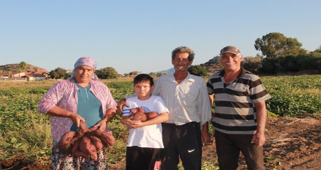 ŞİFA DEPOSU MOR PA­TA­TES’İN HA­SA­DI­NA BAŞ­LAN­DI