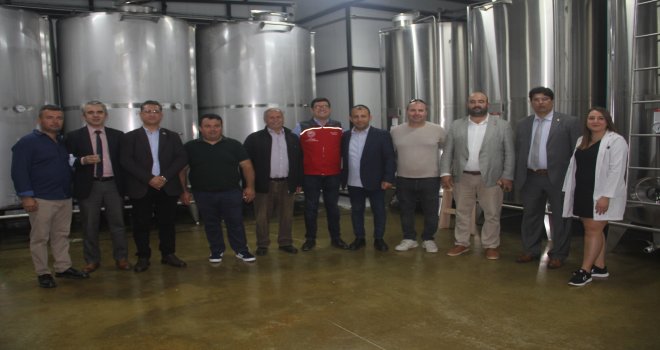 Sıfır atık, doğa dostu soğuk sıkım zey­tin­ya­ğı fab­ri­ka­sı hiz­me­te açıl­dı