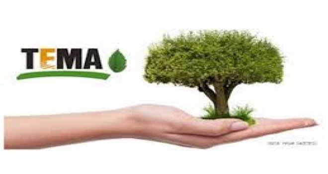 TEMA VAKFI: “AĞAÇ TANIMI” MEVZUATTA AÇIK, EN AZ 195.000 AĞAÇ KESİLDİ