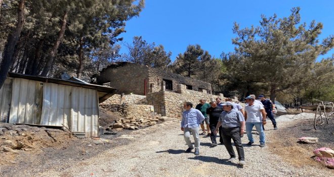 VALİ TAVLI, MESUDİYE’DE İNCELEMELERDE BULUNDU YARALARIN EN KISA SÜREDE SARILACAĞINI SÖYLEDİ