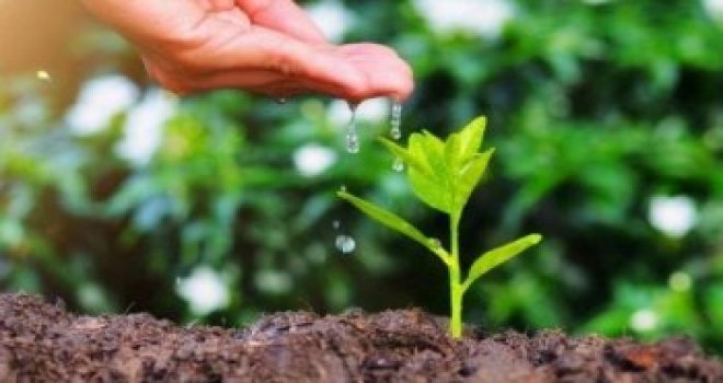 YA­ŞA­MIN TEMEL KAY­NAK­LA­RI: TOP­RAK VE SU